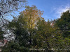 PhotoiPhone_251020_5682dxo