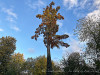 PhotoiPhone_251020_5692dxo