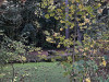 PhotoiPhone_251020_5696dxo