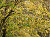 DSC02146dxo