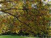 DSC02147dxo