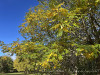PhotoiPhone_251024_5722dxo