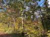PhotoiPhone_251025_5761dxo
