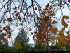 DSC02255dxo